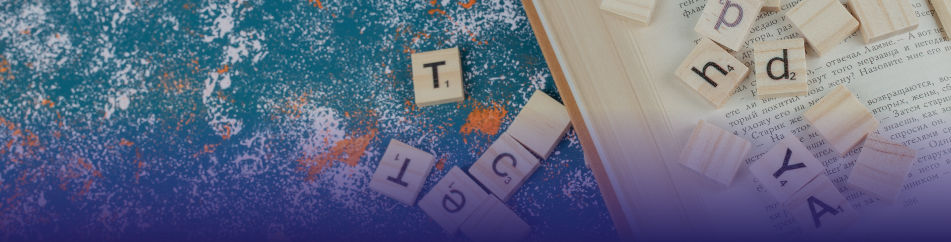 Macmillan Dictionary VN